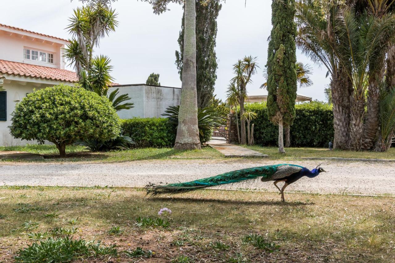 Finca Son Temet Es Mercadal Exterior foto